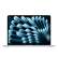 Apple Macbook Air 13.6" M5 2026 16Gb/1Tb MDHJ4 небесно-голубой